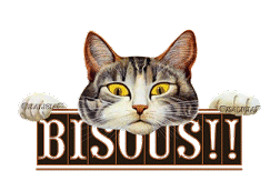 bisous chat
